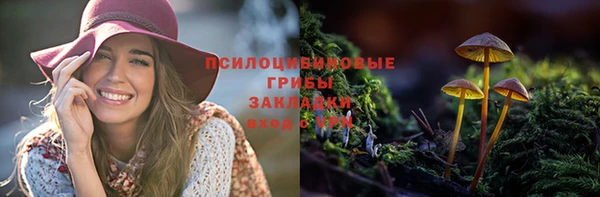 эйфоретик Горняк