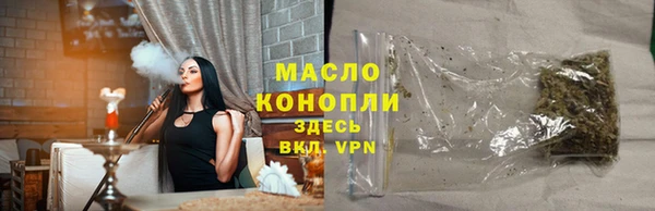 эйфоретик Гусь-Хрустальный