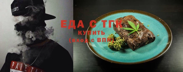 эйфоретик Гусь-Хрустальный