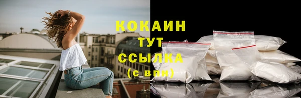 эйфоретик Гусь-Хрустальный
