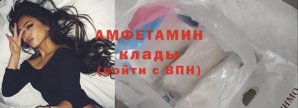 эйфоретик Гусь-Хрустальный
