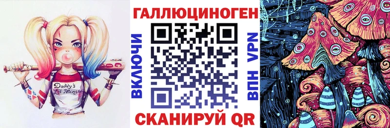 Купить  Краснозаводск  Псилоцибиновые грибы Psilocybe 
